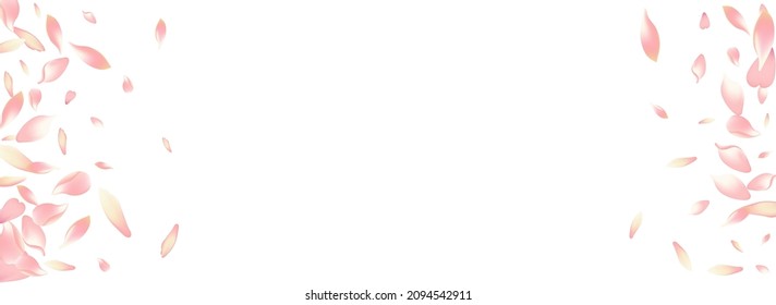 Pastel Apple Petal Vector Panoramic Background. White Free Sakura Petal Template. Cherry Petal Fall Banner. Aroma Peach Petal Product.