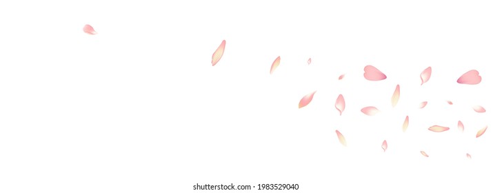 Pastel Apple Petal Vector White Background. White Fall Peach Petal Design. Cherry Petal Springtime Cover. Floor Lotus Petal Banner.