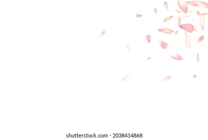 Pastel Apple Petal Vector White Background. White Flying Peach Petal Poster. Sakura Petal Valentine Banner. Realistic Lotus Petal Illustration.