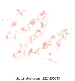 Fondo blanco del vector de Petal de Apple Pastel. Producto de Petales de Engranaje Realista Transparente. Fondo de pantalla de Cherry Petal. Brillante Felicidad Sakura Petal.