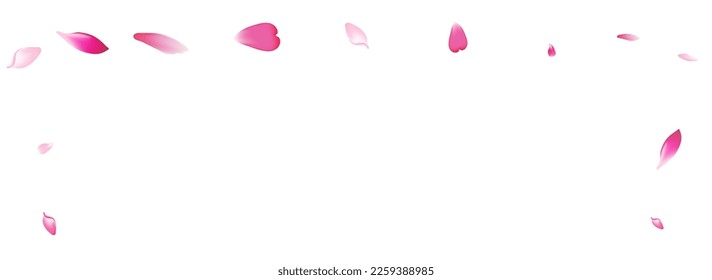 Pastel Apple Petal Vector White Background. Transparent Air Rose Petal Illustration. Flower Petal Realistic Pattern. Floral Cherry Petal Banner.