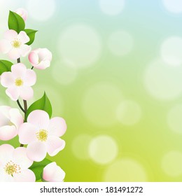 Pastel Apple Tree Flowers Frame, With Gradient Mesh, Vector Illustration