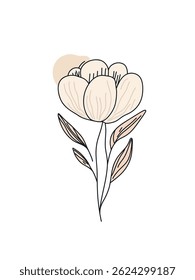pastel bloom design, vector illustration
