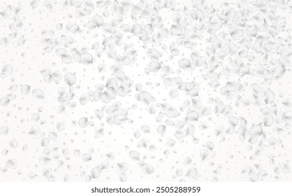 Pastel Blossom Vector Light Background. Gray Falling Flower Texture. Summer Peach Illustration. Snowy Sakura Tender Design.