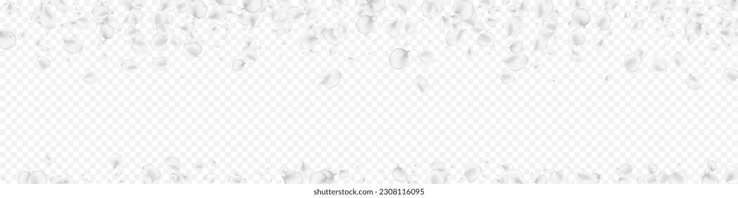 Pastel Blossom Vector Transparent Panoramic Background. Snowy Falling Lotus Backdrop. Flying Floral Poster. White Rose Japan Pattern.