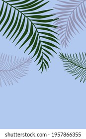 Pastel blue background image, coconut leaf