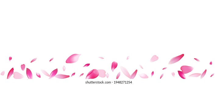 Pastel Cherry Petal Vector Panoramic Background. Color Falling Rose Petal Pattern. Flower Petal Spa Banner. Air Peach Petal Product.