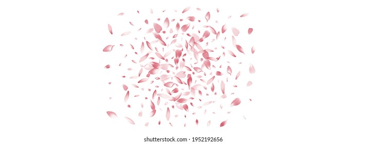 Pastel Cherry Petal Vector Panoramic Background. Color Modern Rose Petal Illustration. Peach Petal Free Card. Realistic Flower Petal Template.