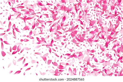 Pastel Cherry Petal Vector White Background. Purple Blossom Peach Petal Product. Apple Petal Japan Texture. Soft Flower Petal Congratulation.