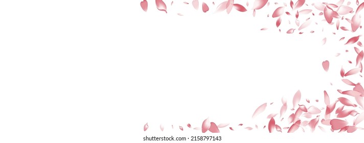 Pastel Cherry Petal Vector White Background. Transparent Invitation Lotus Petal Texture. Apple Petal Springtime Poster. March Peach Petal Product.