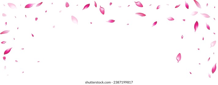 Pastel Cherry Petal Vector White Background. Color Wedding Rose Petal Design. Peach Petal Soft Illustration. Japan Sakura Petal Poster.