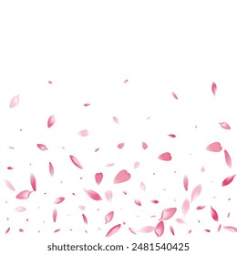 Pastel Cherry Petal Vector White Background. Pink Springtime Flower Petal Frame. Apple Petal Japanese Illustration. Air Sakura Petal Texture.