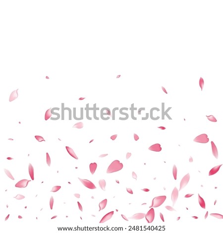 Pastel Cherry Petal Vector White Background. Pink Springtime Flower Petal Frame. Apple Petal Japanese Illustration. Air Sakura Petal Texture.