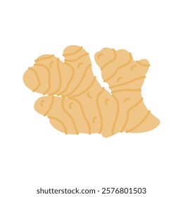 Pastel Color of Ginger illustration. Perfect for health, food, or organic-themed designs, suitable for packaging, branding, and educational visuals.