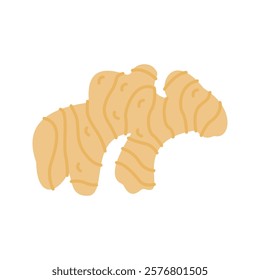 Pastel Color of Ginger illustration. Perfect for health, food, or organic-themed designs, suitable for packaging, branding, and educational visuals.