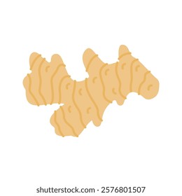 Pastel Color of Ginger illustration. Perfect for health, food, or organic-themed designs, suitable for packaging, branding, and educational visuals.