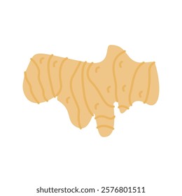 Pastel Color of Ginger illustration. Perfect for health, food, or organic-themed designs, suitable for packaging, branding, and educational visuals.