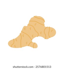 Pastel Color of Ginger illustration. Perfect for health, food, or organic-themed designs, suitable for packaging, branding, and educational visuals.