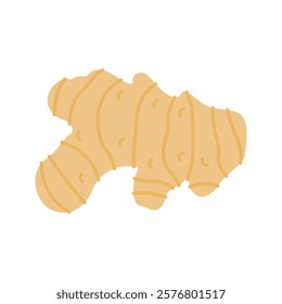 Pastel Color of Ginger illustration. Perfect for health, food, or organic-themed designs, suitable for packaging, branding, and educational visuals.