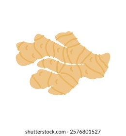 Pastel Color of Ginger illustration. Perfect for health, food, or organic-themed designs, suitable for packaging, branding, and educational visuals.