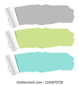 Pastel Color Torn Paper Set With Gradient Mesh, Vector Illustration