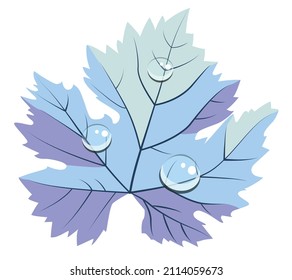 Pastel colors light blue and purple grape leave in dew drops vector element in flat style. Good for wine bar restaurant menu, card decoration, stickers, wine bottle labels or winery logo design