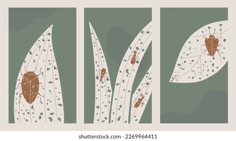 Pastel colors posters collection with grunge ladybug, ants, bug, leaves. Cute trendy green Vector Banner Templates.