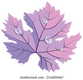 Pastel colors purple and pink grape leave in dew drops vector element in flat style. Good for wine bar restaurant menu, card decoration, stickers, wine bottle labels or winery logo design.