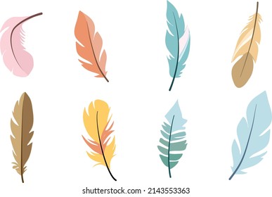 pastel feather , feathers isolated on white background