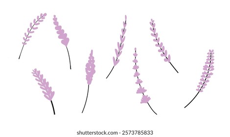 pastel floral decoration concept,Flower clipart Set 4.  A unique abstract drawing of lavender Collection.aroma, purple, violet floral. Design for card or ad poster,wedding, business of aromatherapy.