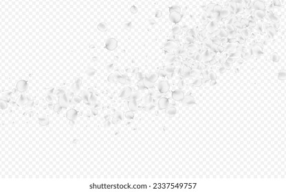 Pastel Floral Vector Transparent Background. Snowy Tender Blossom Wallpaper. Falling Lotus Backdrop. Gray Sakura Beauty Illustration.