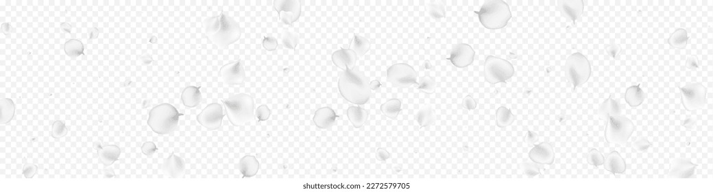 Pastel Floral Vector Transparent Panoramic Background. Gray Beauty Flower Banner. Japan Petal Wallpaper. Snowy Blossom Summer Frame.