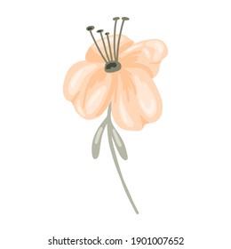 Pastel flower. Hand drawn elegance boho style botanical element, beige rose or peony blossom in soft colors, romantic decor for wedding and valentines day cards. Vector isolated single illustartion