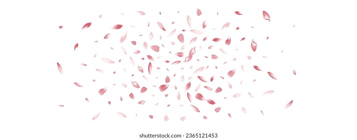 Pastel Flower Petal Vector White Background. White Aroma Cherry Petal Pattern. Lotus Petal March Congratulation. Floral Sakura Petal Product.