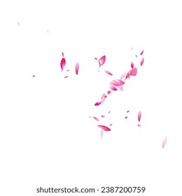 Pastel Flower Petal Vector White Background. Color Falling Rose Petal Banner. Lotus Petal Delicate Pattern. Beauty Cherry Petal Product.