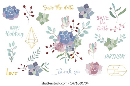pastel flower set with flower,cactus,leaves,wreath,geometric. 