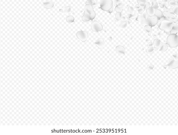 Pastel Flower Vector Transparent Background. White Summer Floral Backdrop. Flying Blossom Pattern. Snowy Cherry Tender Design.