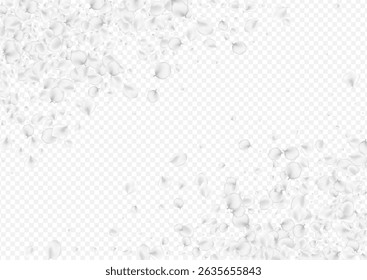 Pastel Flower Vector Transparent Background. White Japanese Lotus Template. Fall Peach Wallpaper. Snowy Rose Japan Poster.