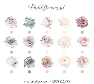 Flores Pastel conjunto de diseño de grandes vectores. Rosas, dalia, suculento, ranunculus. Rosa, beige, azul, pálido, menta, tonos cremosos. Colores elegantes y blanqueados. Flores elegantes. Colección de bodas florales. Editable. 