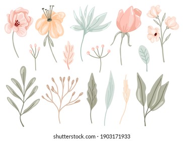 Pastel flowers and leaves set. Hand drawn elegance boho style botanical collection, soft colors, romantic decor for wedding and valentines day cards. Vector isolated floral set