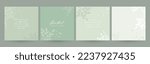 Pastel green backgrounds with leafy branches for social media posts. Concept of cosmetic, spa, wellness, floristry, skin care.