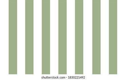 pastel green color line texture and background