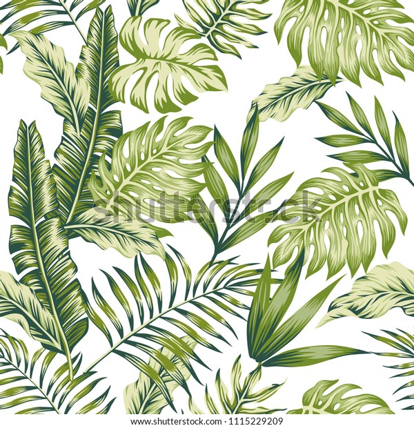 Pastel Green Tropical Jungle Leaves Palm Stock Vector (Royalty Free ...