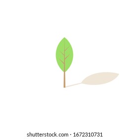 Pastel green and white simple young thin lonely tree on white, with a long shadow, spring illustration, ecology concept. vector template