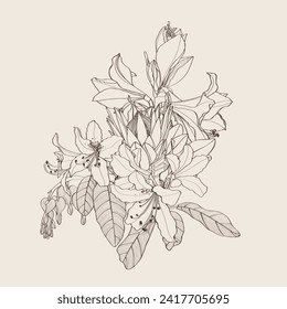 Pastel line floral composition with line troical plants and leaves on white. Romantic design for natural cosmetics, perfume, women products. Can be used for greeting card, wedding invitation.