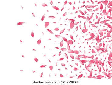 Pastel Lotus Petal Vector White Background. Purple Wallpaper Flower Petal Texture. Peach Petal Romance Banner. Free Cherry Petal Pattern.