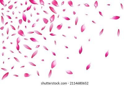 Pastel Lotus Petal Vector White Background. Pink Floral Peach Petal Frame. Cherry Petal Romance Poster. Realistic Flower Petal Banner.