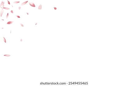 Pastel Lotus Petal Vector White Background. Transparent Flying Cherry Petal Product. Flower Petal Japanese Cover. 3d Sakura Petal Design.