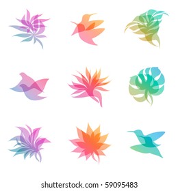 Pastel nature. Elements for design. Vector illustration.