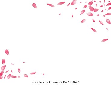 Pastel Peach Petal Vector White Background. White Free Cherry Petal Illustration. Lotus Petal Fall Card. Spring Flower Petal Poster.
